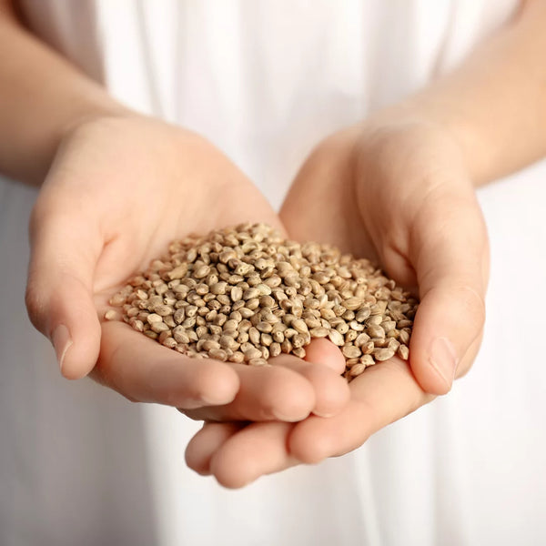 6 vrsta semenki koje bi trebalo da jedete
